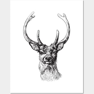 Deer Posters and Art